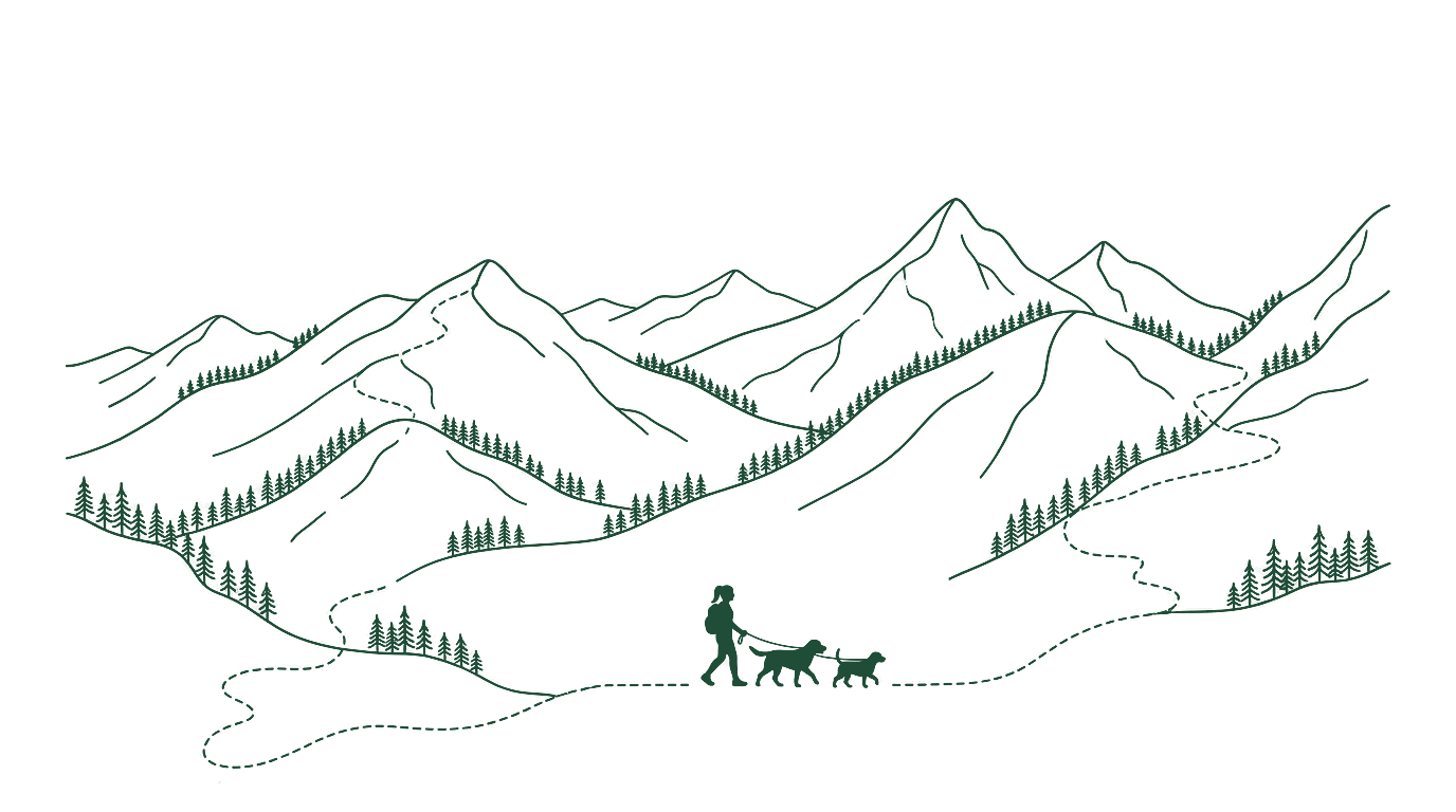 Line drawing of mountain ridges and a winding trail, with a woman hiking alongside her two dogs